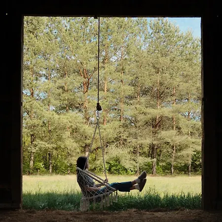 Dom wakacyjny Sztuka Lasu