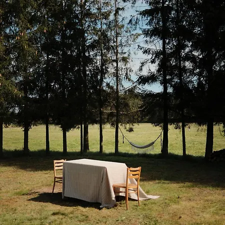 Sztuka Lasu
