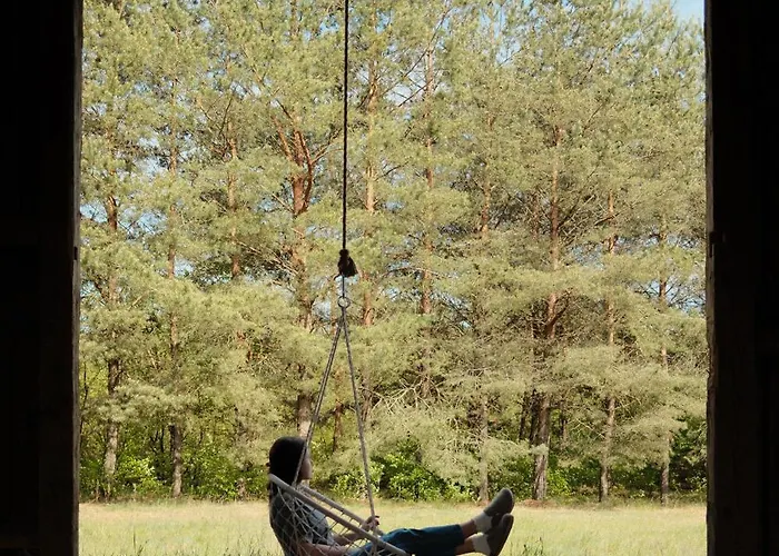 Dom wakacyjny Sztuka Lasu