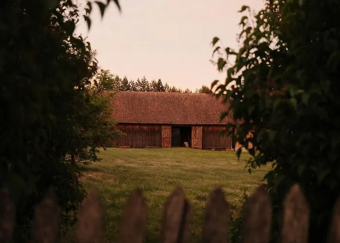 Sztuka Lasu Dom wakacyjny *