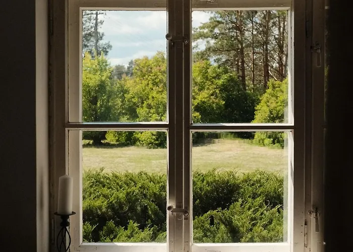 Sztuka Lasu * Wilamowo (Szczytno)